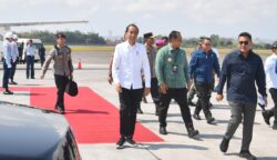 sekarangaja