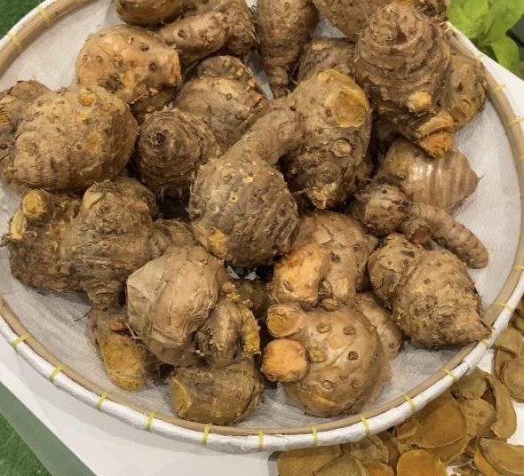 Temulawak Ditetapkan Tanaman Obat Unggulan Indonesia 1 sekarangaja