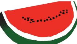 Begini Arti Gambar Semangka Simbol Pro Palestina 14 pro palestina1