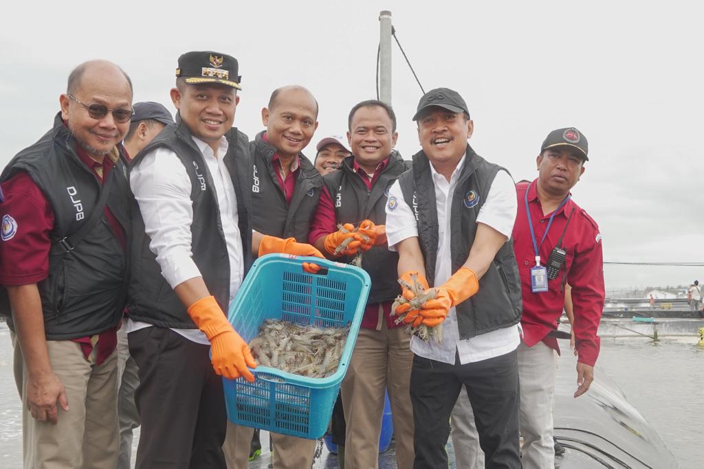 KKP Siapkan Langkah Strategis Hadapi Tuduhan Antidumping dan Countervailing Duties di AS 1 sekarangaja