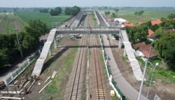 sekarangaja