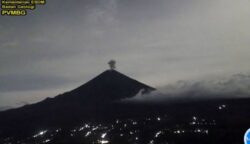 sekarangaja