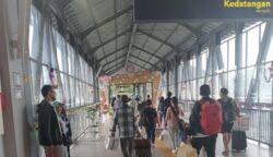 sekarangaja
