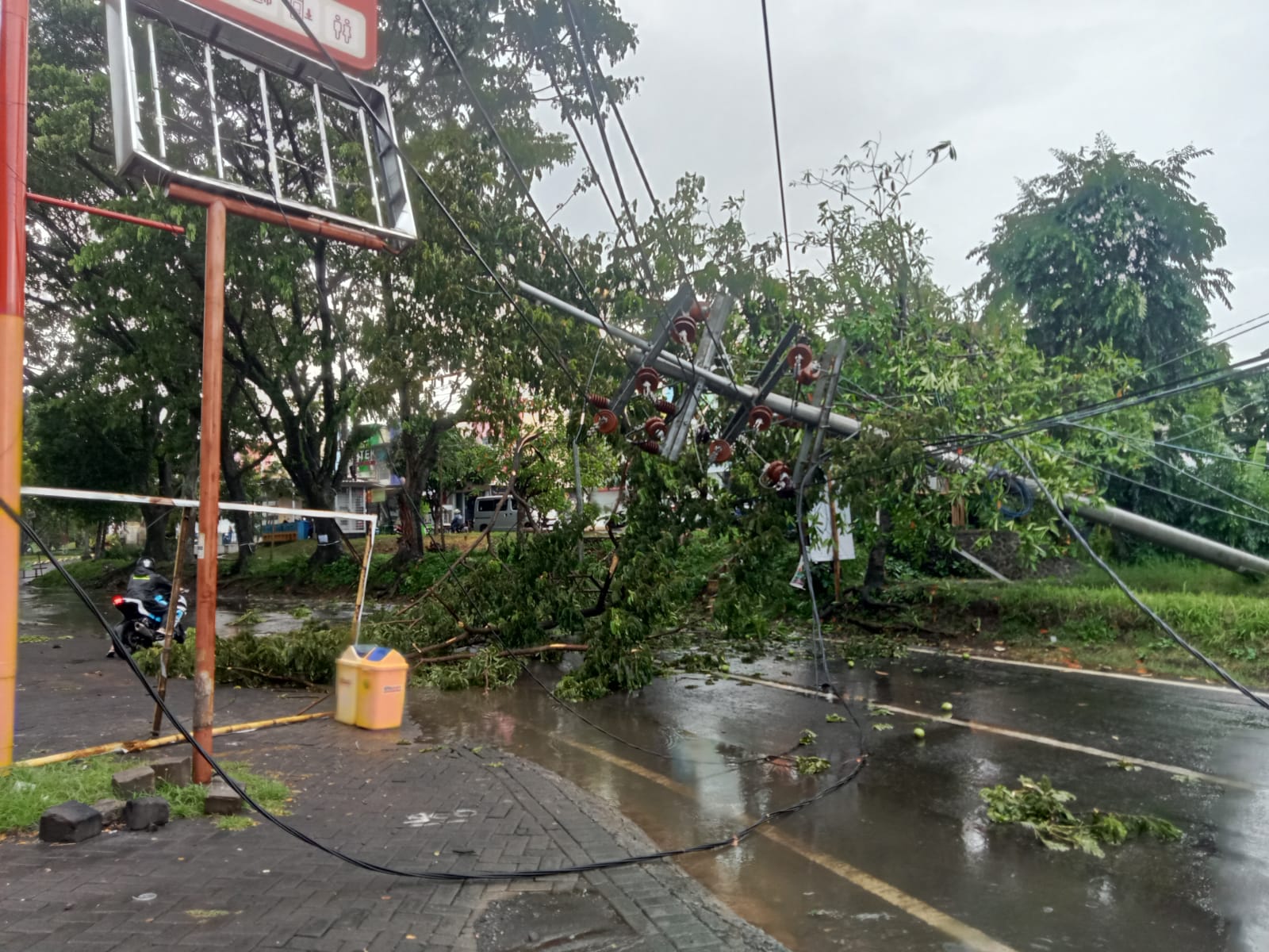 Hujan Deras Mengguyur Kota Malang, Pohon dan Tiang Listrik Ambruk di Mulyorejo 1 sekarangaja