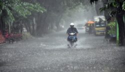 sekarangaja