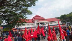 sekarangaja