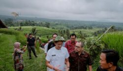 sekarangaja