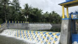 sekarangaja