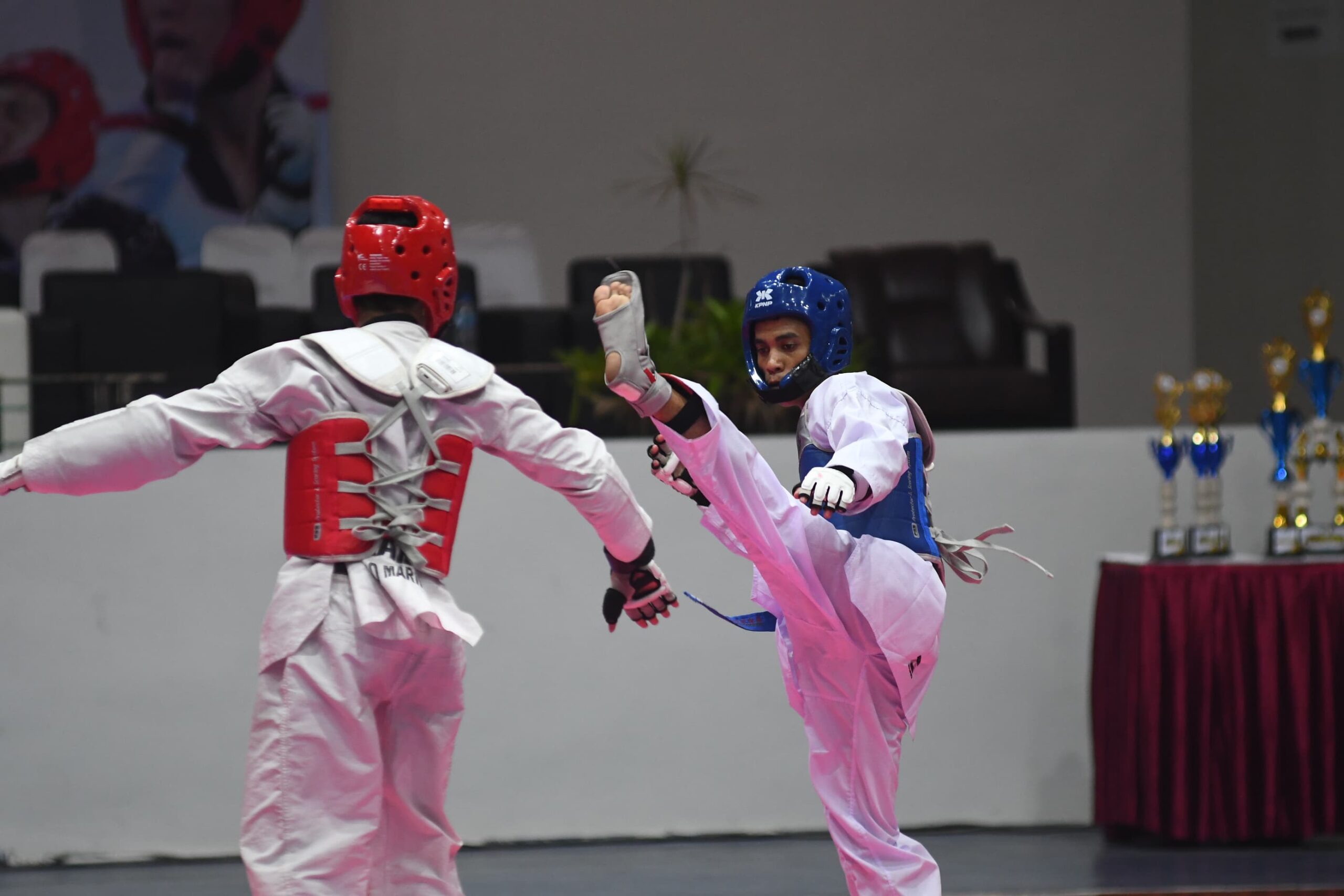 Kejuaraan Taekwondo Piala Pj Wali Kota Malang Jadi Ajang Pembinaan Atlet Sekaligus Sport Tourism 1 sekarangaja