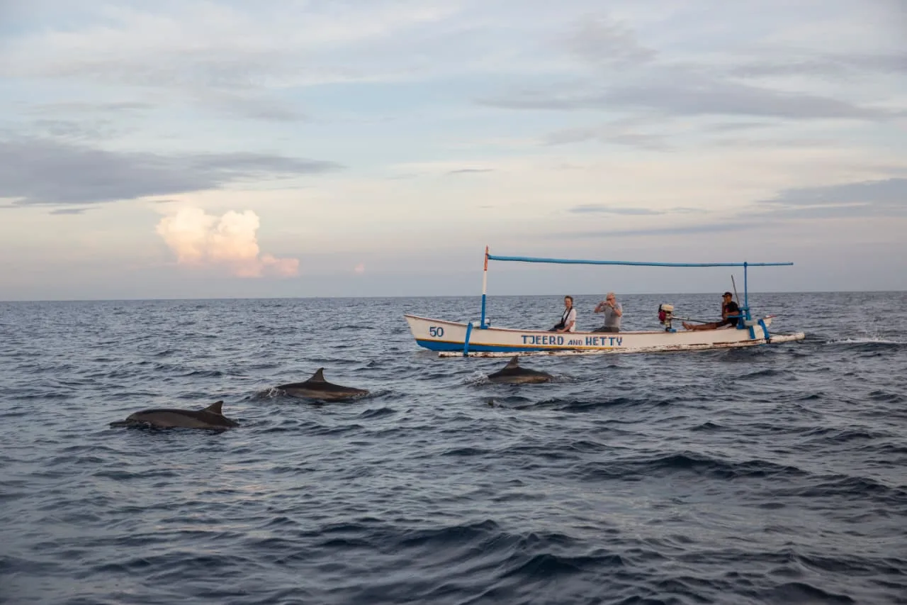 Terus Perkuat Promosi pariwisata Bali Barat, Bali Utara, dan Banyuwangi 1 sekarangaja