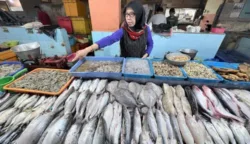 Cuaca Tak Bersahabat, Harga Ikan Laut di Malang Makin Tak Ramah Dompet 10 sekarangaja