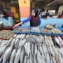 Cuaca Tak Bersahabat, Harga Ikan Laut di Malang Makin Tak Ramah Dompet 5 sekarangaja