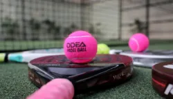 Lapangan Padel di Kawasan Padat Penduduk Jakarta Segera Ditertibkan 7 sekarangaja