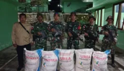 Cegah Kerugian Negara, Satgas Pamtas Yonarhanud 2 Kostrad Gagalkan Penyelundupan 1/4 Ton Pupuk Ilegal 7 sekarangaja