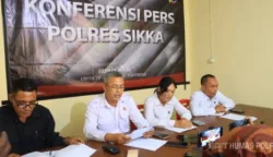 Polres Sikka Amankan Dua Tersangka Dugaan TPPO Eltras Cafe dan Satu Tersangka Kasus Asusila Disertai Penganiayaan Anak 7 sekarangaja