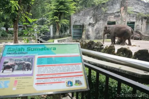 Libur Lebaran di TMR Ada Hiburan Menarik dan Atraksi Edukatif 1 sekarangaja