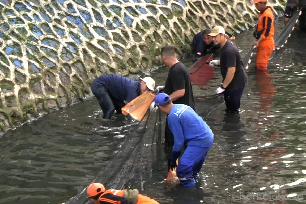 Pemprov DKI Jakarta Segera Keruk Sedimentasi Sekaligus Pengendalian Ikan Sapu-Sapu 1 sekarangaja