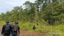 Situasi Yahukimo Terkendali Tanpa Korban Jiwa Usai Kontak Tembak Satgas Operasi Damai Cartenz dengan KKB 8 sekarangaja