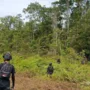 Situasi Yahukimo Terkendali Tanpa Korban Jiwa Usai Kontak Tembak Satgas Operasi Damai Cartenz dengan KKB 3 sekarangaja