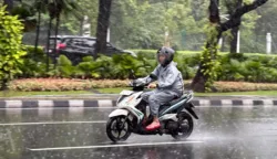sekarangaja