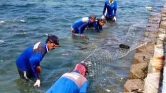 Kini Kawat Bronjong Dipasang di Pantai Gusung Klanceng Kepulauan Seribu 2 sekarangaja
