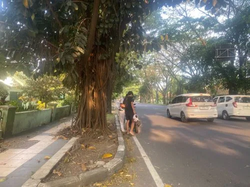 sekarangaja
