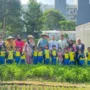 Murid PAUD SPS Negeri Bale Bermain Gading Kuncup Harmoni Gading Diedukasi Menanam dan Panen Sayuran 3 sekarangaja