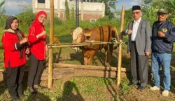 Jelang Iduladha PDI Perjuangan Kota Malang Serahkan Hewan Kurban untuk PCNU Kota Malang, Refleksi Makna Berkurban untuk Perjuangan Kerakyatan 7 sekarangaja