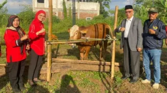 Jelang Iduladha PDI Perjuangan Kota Malang Serahkan Hewan Kurban untuk PCNU Kota Malang, Refleksi Makna Berkurban untuk Perjuangan Kerakyatan 2 sekarangaja