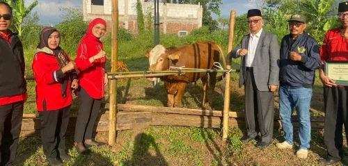Jelang Iduladha PDI Perjuangan Kota Malang Serahkan Hewan Kurban untuk PCNU Kota Malang, Refleksi Makna Berkurban untuk Perjuangan Kerakyatan 1 sekarangaja