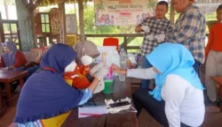 sekarangaja