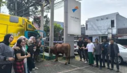 sekarangaja