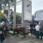 sekarangaja