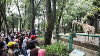 sekarangaja