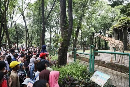 sekarangaja