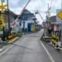 sekarangaja