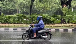 sekarangaja