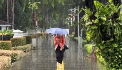 sekarangaja