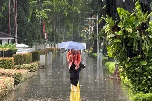 sekarangaja