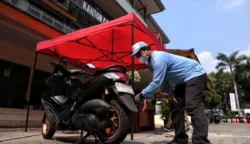 sekarangaja