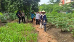 sekarangaja