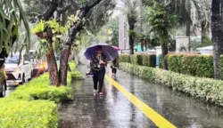 Jakarta Hari Ini Diprakirakan Dibasahi Hujan Ringan 7 sekarangaja