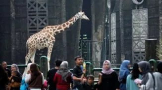 Ini Jadwal Masuk Ragunan Gratis saat HUT DKI Jakarta 2 sekarangaja