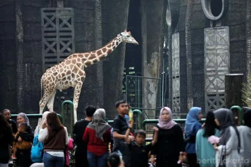 sekarangaja