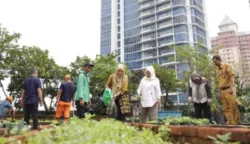 sekarangaja