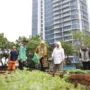 sekarangaja