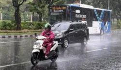 sekarangaja