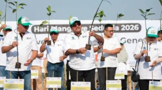 Jakarta Tanam 21.060 Bibit Mangrove di Lima Lokasi Peringati Hari Hari Mangrove Dunia 3 sekarangaja