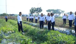 sekarangaja