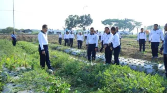 sekarangaja